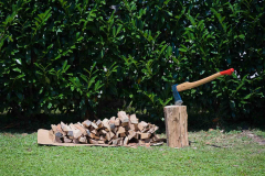 turnirMladosti_20240706_mini-56